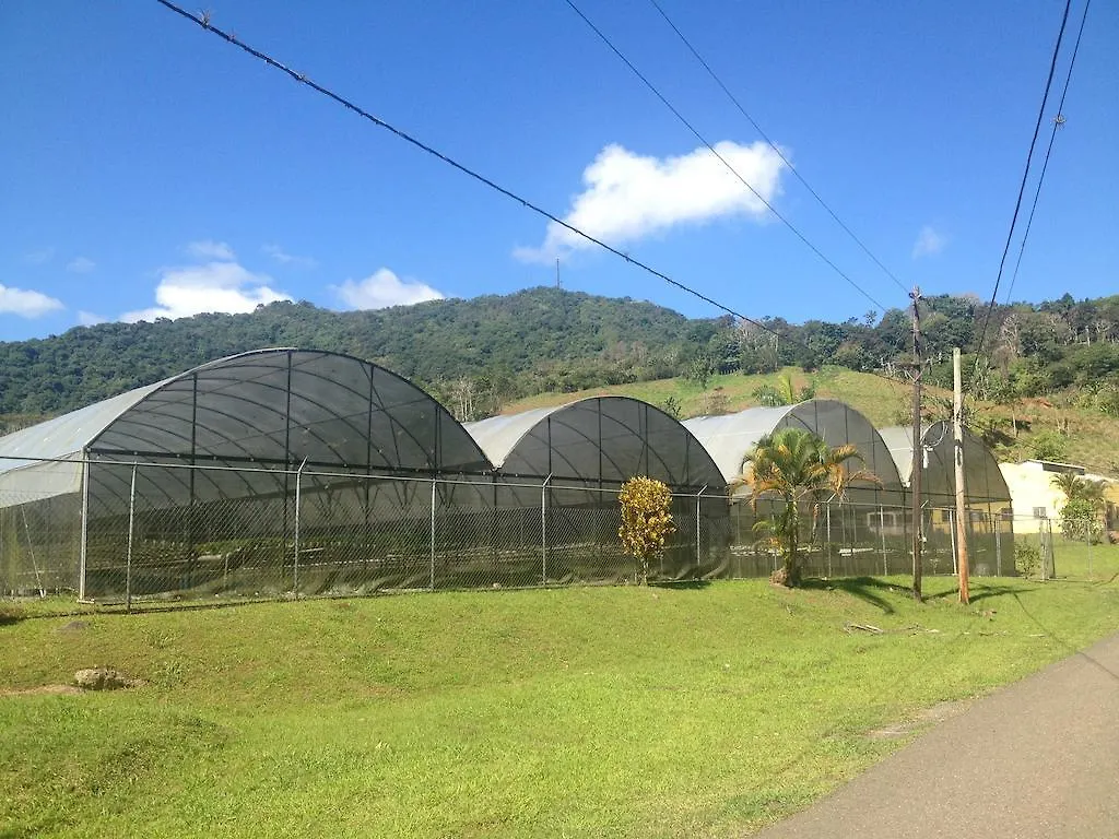 Parador Villas Sotomayor Adjuntas Portoriko